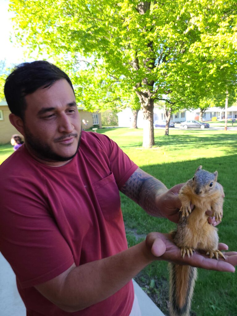 Wildlife Removal Alaiedon